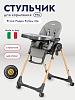 Стульчик для кормления Peg-Perego Prima Pappa Follow Me, Ambiance Ice